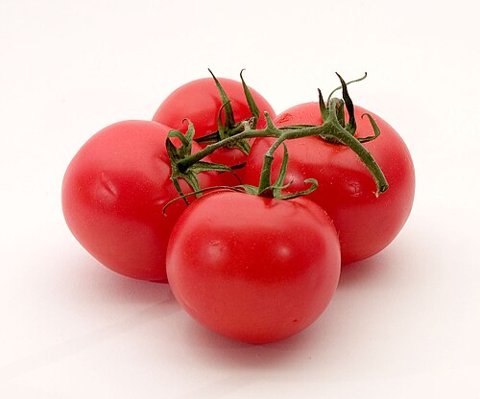 Tomatoes — food illustration